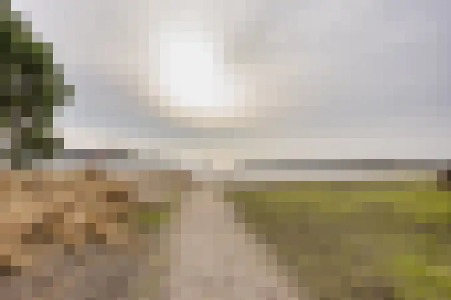 Javaruggen 20 Makkum thumbnail 50