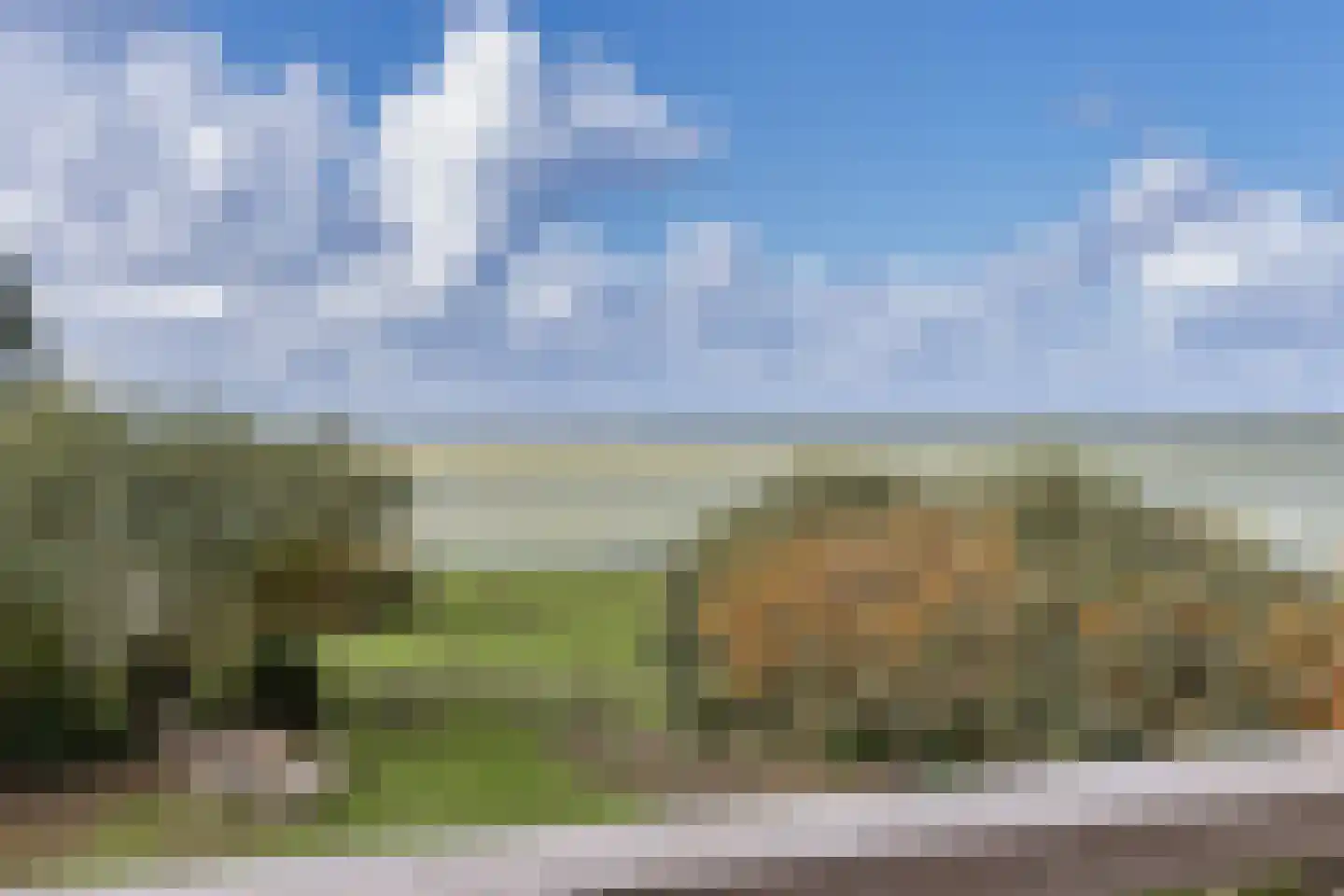 Javaruggen 20 Makkum thumbnail 6