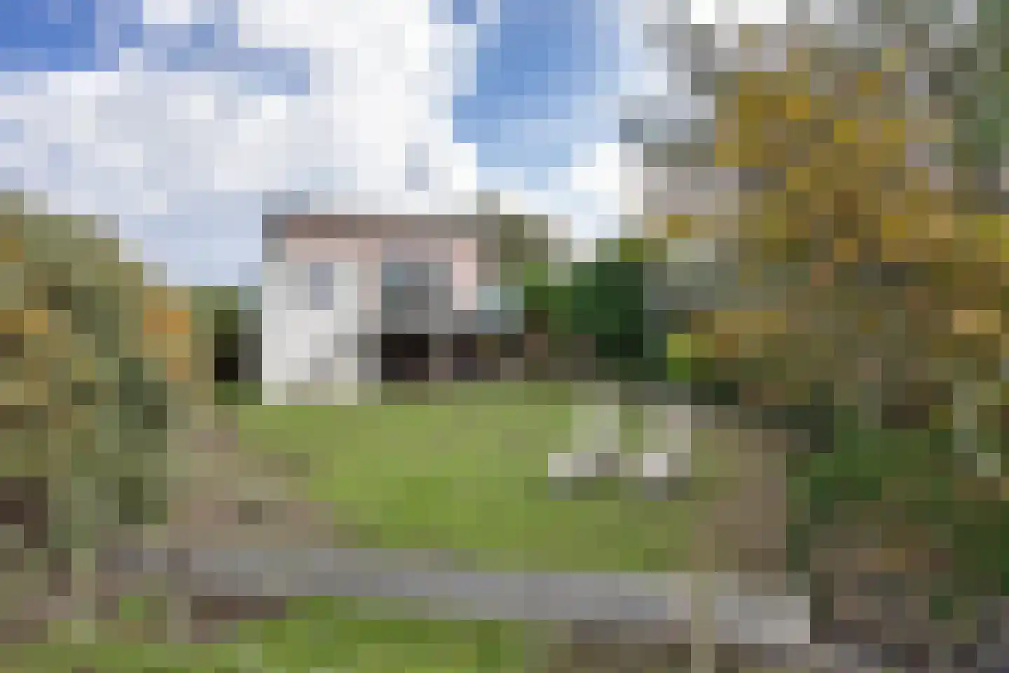 Javaruggen 20 Makkum thumbnail 7