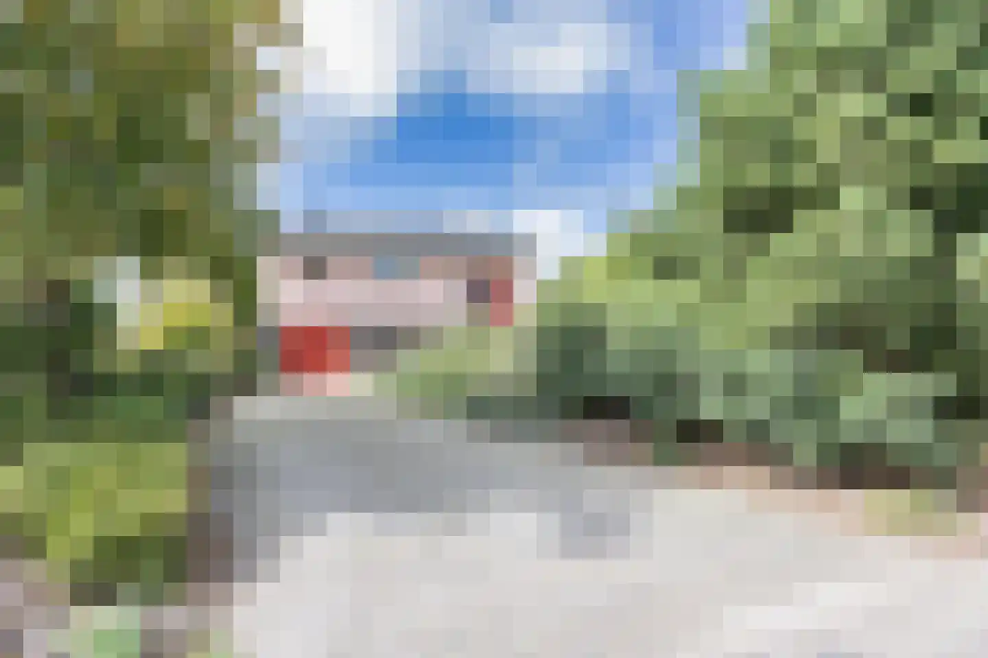 Javaruggen 20 Makkum thumbnail 8