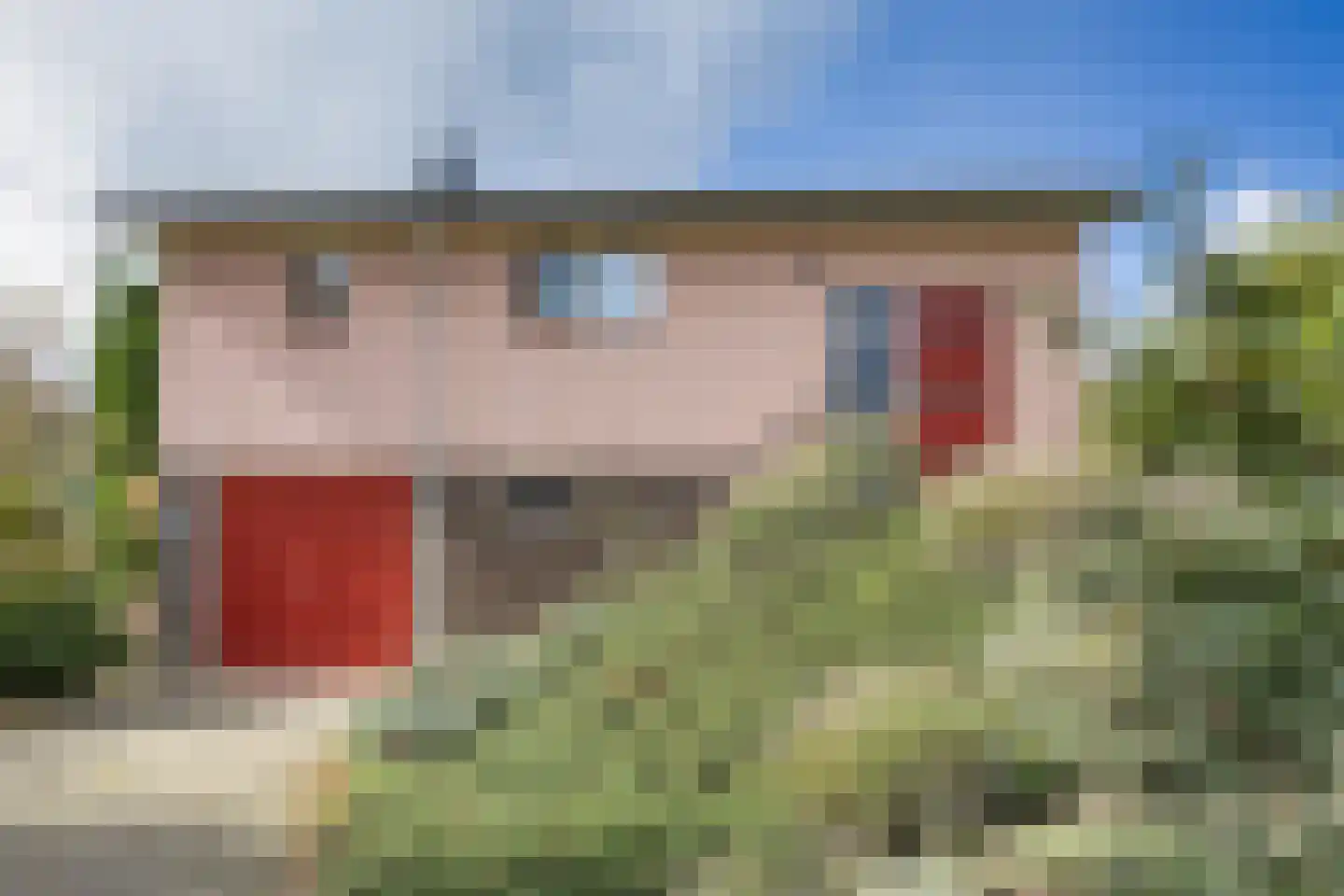 Javaruggen 20 Makkum thumbnail 9