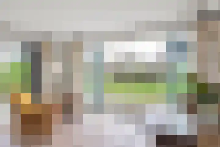 Javaruggen 31 Makkum thumbnail 13