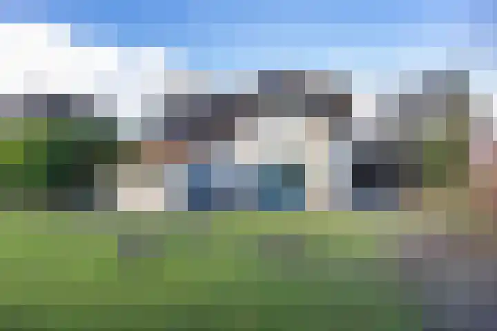 Javaruggen 31 Makkum thumbnail 33