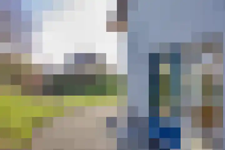 Javaruggen 31 Makkum thumbnail 34
