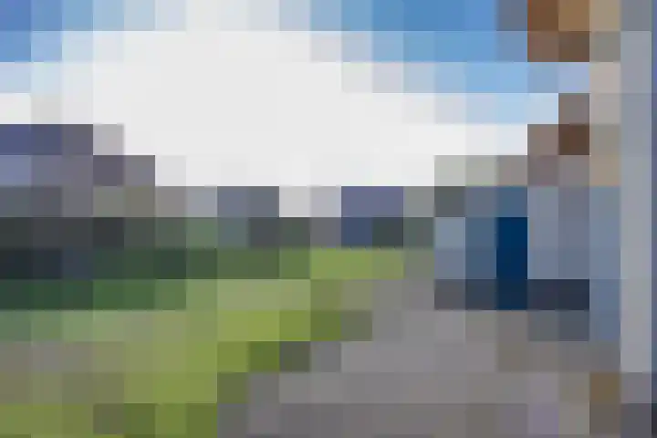 Javaruggen 31 Makkum thumbnail 35