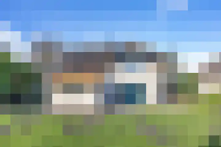 Javaruggen 31 Makkum thumbnail 36