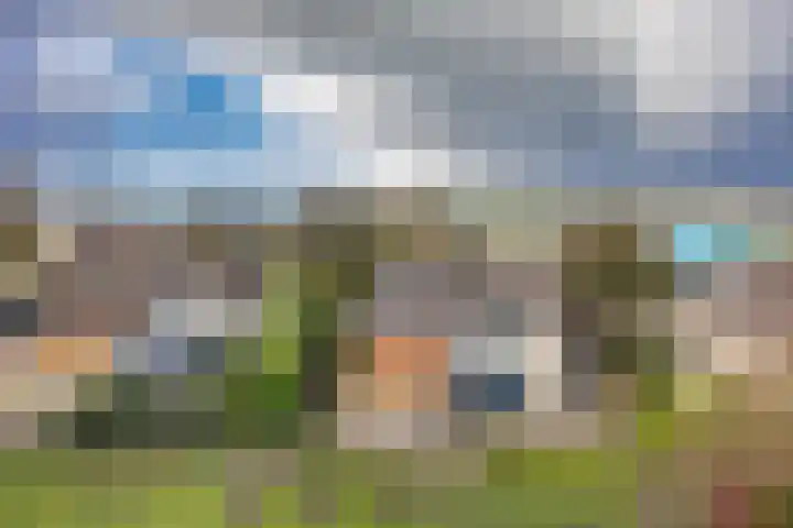Javaruggen 31 Makkum thumbnail 37