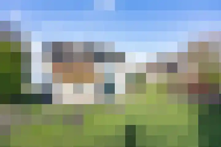 Javaruggen 31 Makkum thumbnail 38