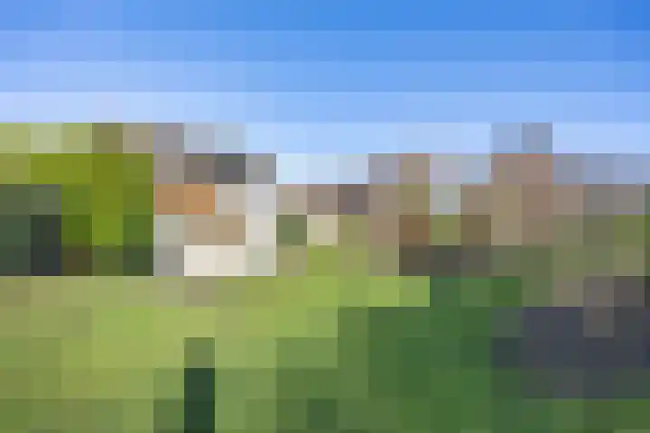 Javaruggen 31 Makkum thumbnail 39