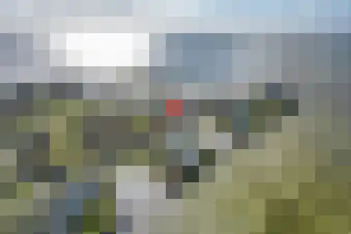 Javaruggen 31 Makkum thumbnail 4