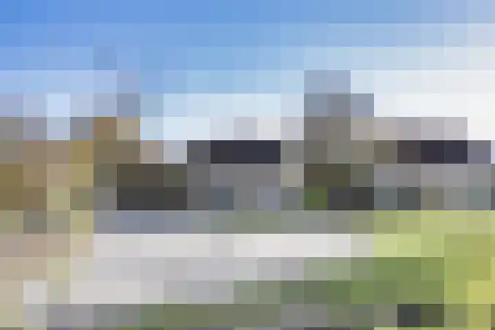 Javaruggen 31 Makkum thumbnail 40