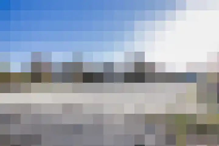 Javaruggen 31 Makkum thumbnail 41