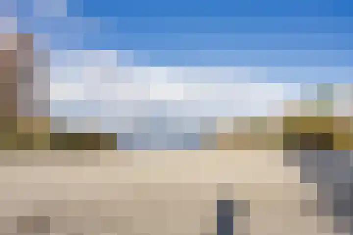 Javaruggen 31 Makkum thumbnail 43