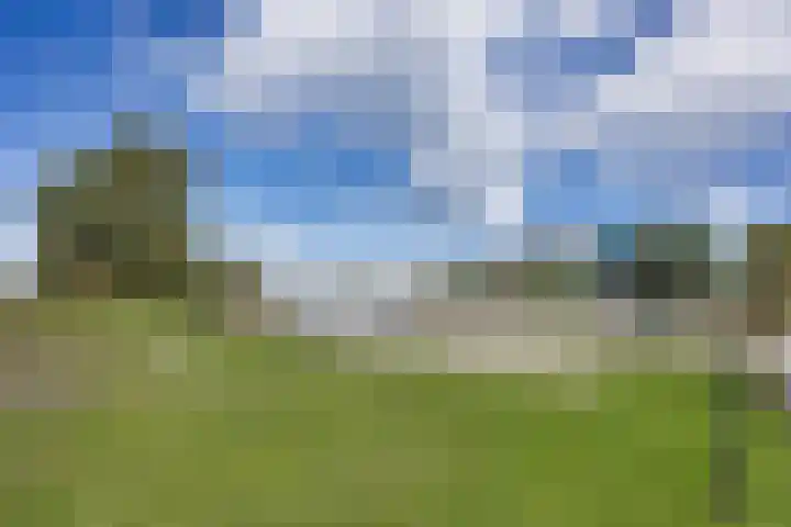 Javaruggen 31 Makkum thumbnail 44
