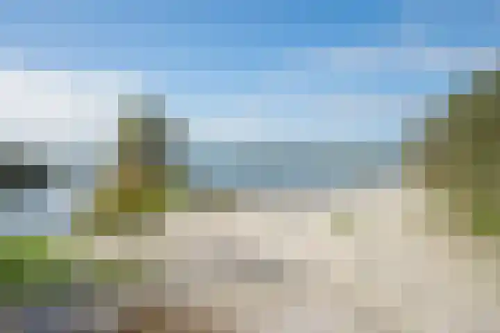 Javaruggen 31 Makkum thumbnail 46