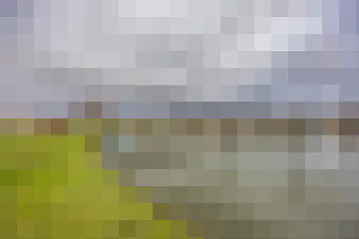 Javaruggen 31 Makkum thumbnail 47