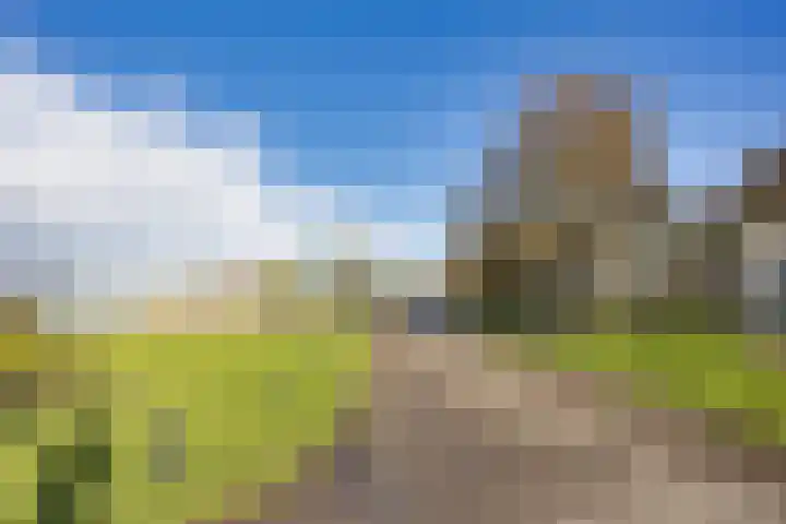 Javaruggen 31 Makkum thumbnail 5