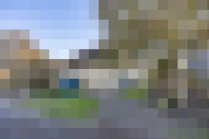 Javaruggen 31 Makkum thumbnail 6