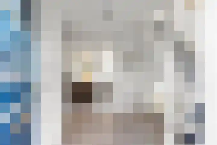 Javaruggen 31 Makkum thumbnail 7