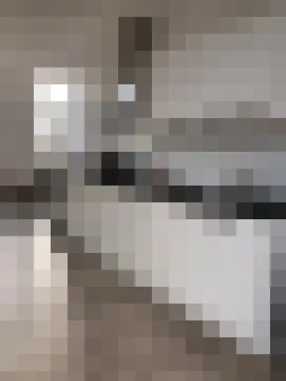 Javastraat 1 Hengelo thumbnail 4