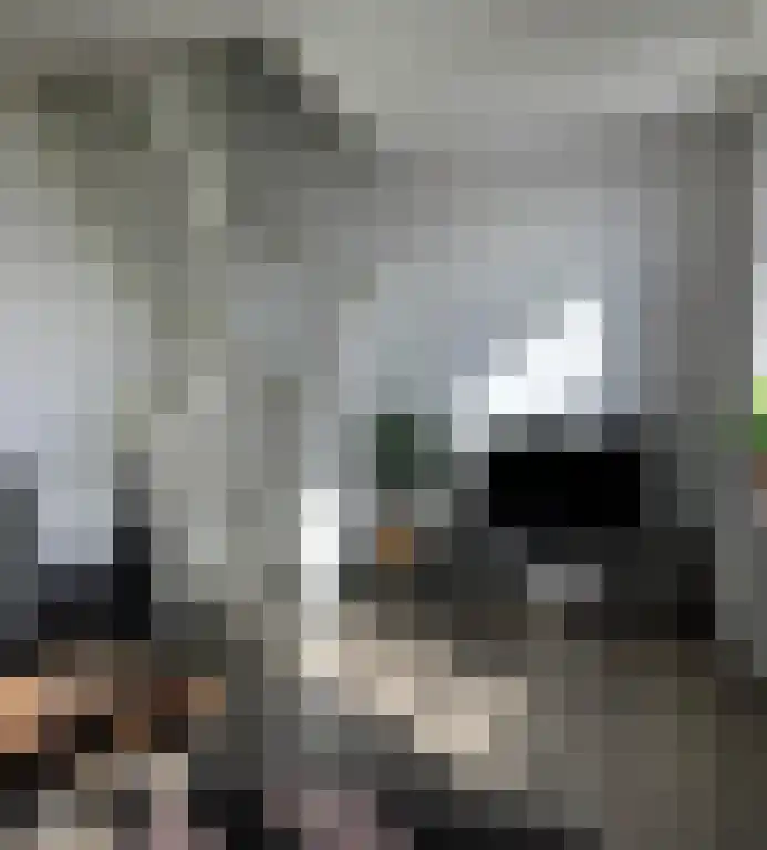 Javastraat 1 Hengelo thumbnail 5