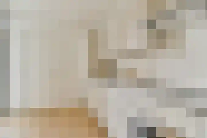 Javastraat 103 1 Amsterdam thumbnail 11