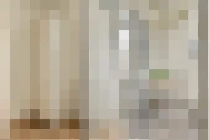 Javastraat 103 1 Amsterdam thumbnail 12