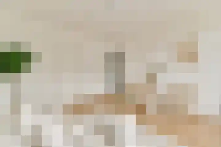 Javastraat 103 1 Amsterdam thumbnail 6