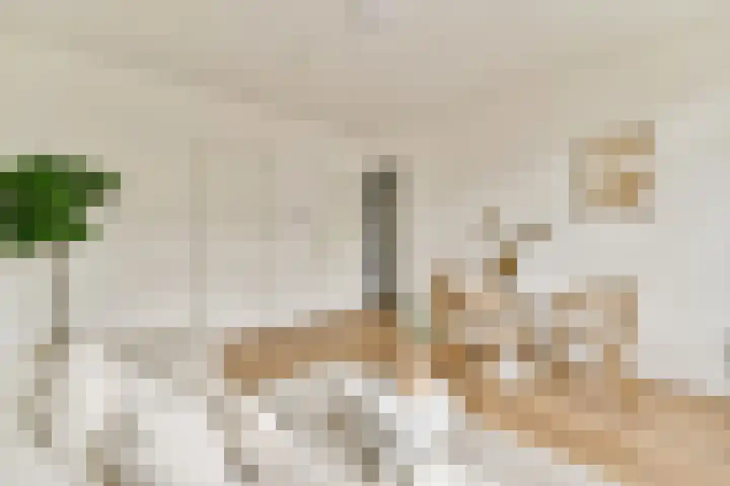 Javastraat 103 1 Amsterdam thumbnail 6