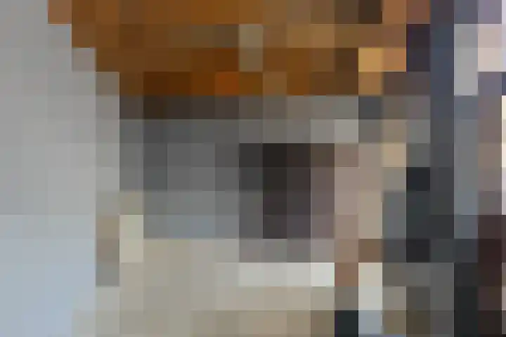 Javastraat 104 Den Helder thumbnail 19