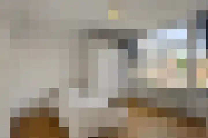 Javastraat 104 Den Helder thumbnail 22