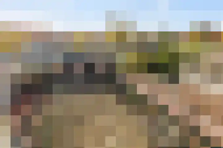 Javastraat 104 Den Helder thumbnail 28