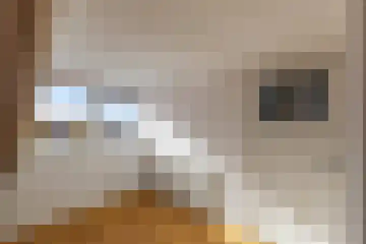 Javastraat 104 Den Helder thumbnail 30