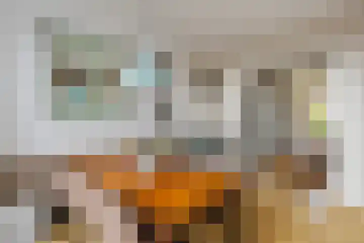 Javastraat 104 Den Helder thumbnail 6