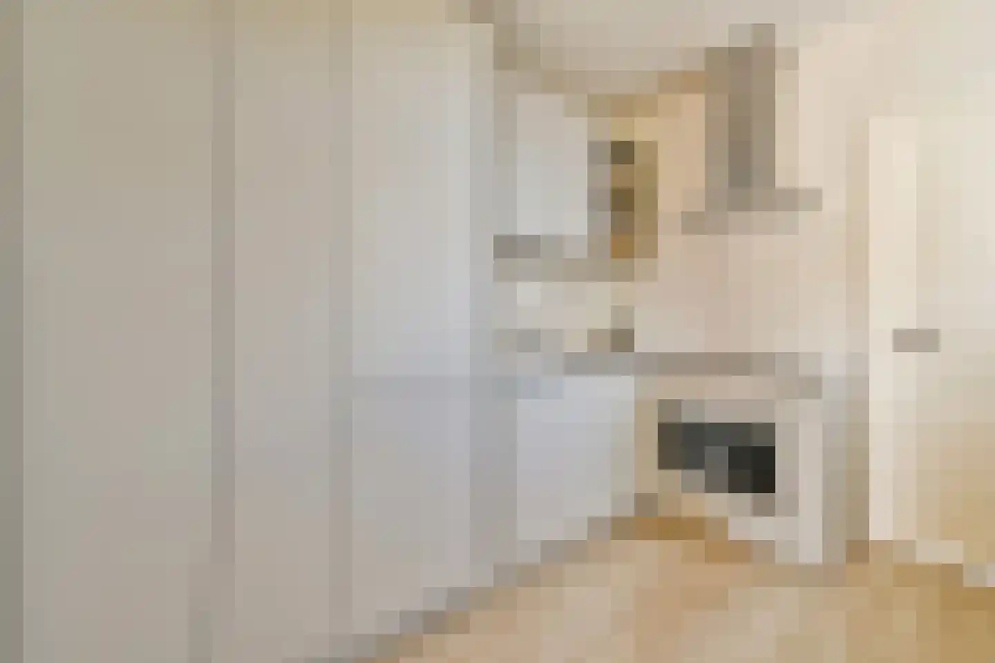 Javastraat 105 3 Amsterdam thumbnail 6