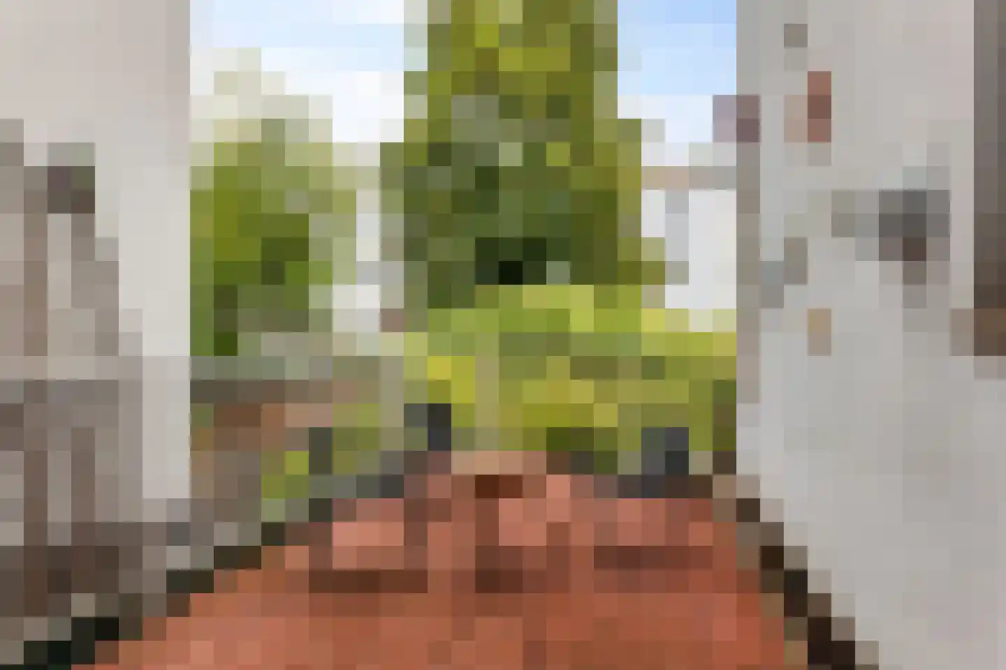 Javastraat 106 B Amsterdam thumbnail 15