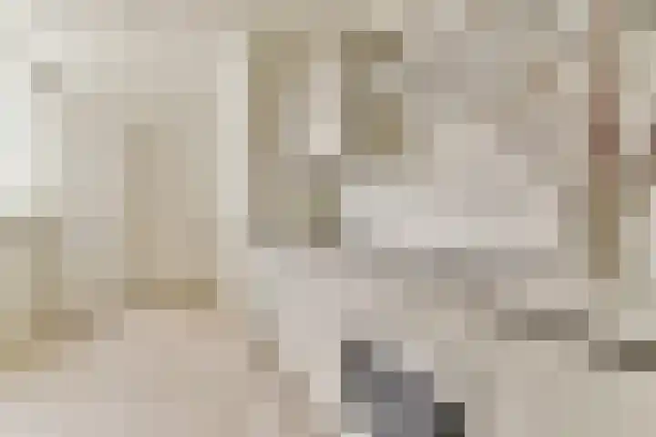 Javastraat 107 1 Amsterdam thumbnail 10