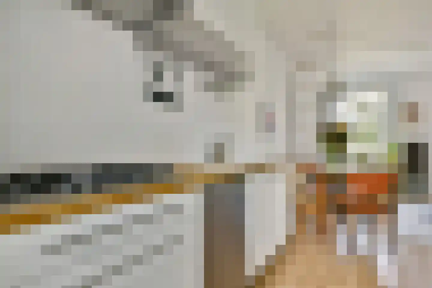 Javastraat 108 2 Amsterdam thumbnail 11