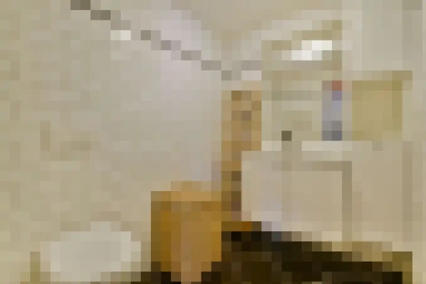 Javastraat 108 2 Amsterdam thumbnail 19
