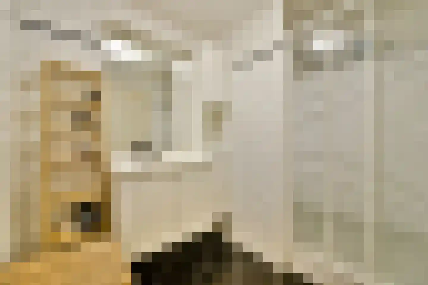Javastraat 108 2 Amsterdam thumbnail 20