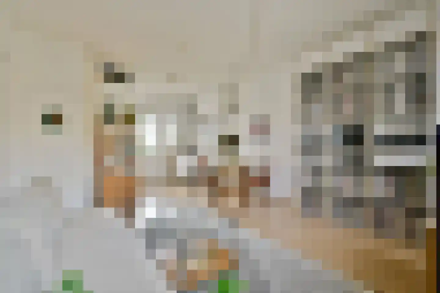 Javastraat 108 2 Amsterdam thumbnail 9