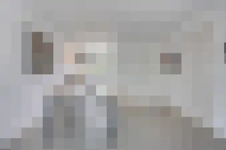 Javastraat 109 's-Hertogenbosch thumbnail 14
