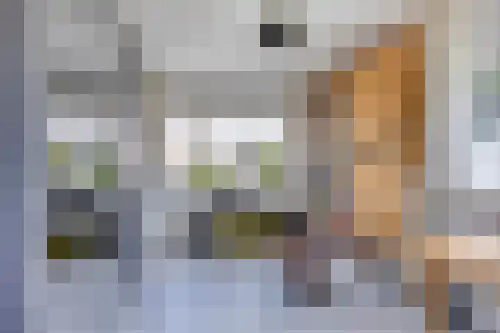 Javastraat 109 's-Hertogenbosch thumbnail 26