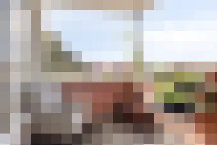 Javastraat 109 's-Hertogenbosch thumbnail 32