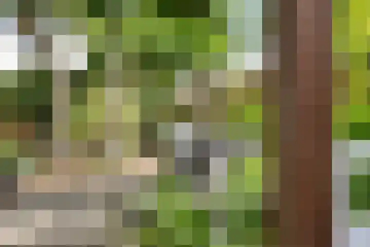 Javastraat 109 's-Hertogenbosch thumbnail 35
