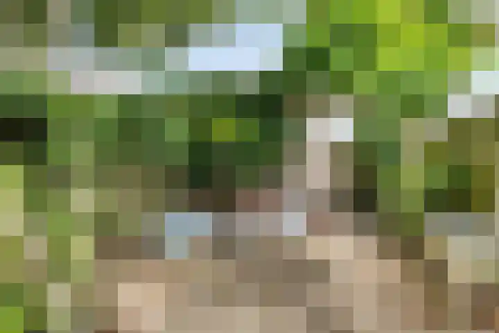 Javastraat 109 's-Hertogenbosch thumbnail 40