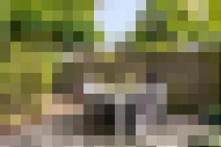 Javastraat 109 's-Hertogenbosch thumbnail 41