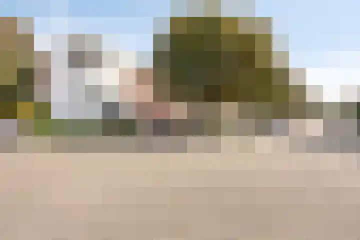 Javastraat 109 's-Hertogenbosch thumbnail 47