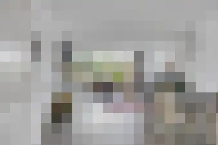 Javastraat 109 's-Hertogenbosch thumbnail 8