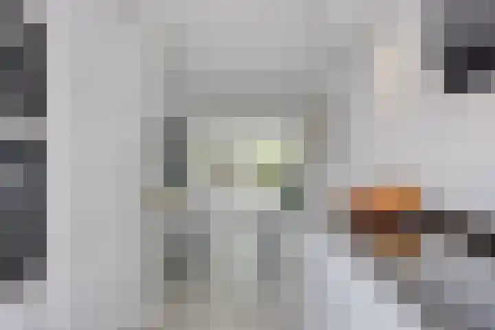 Javastraat 109 's-Hertogenbosch thumbnail 9